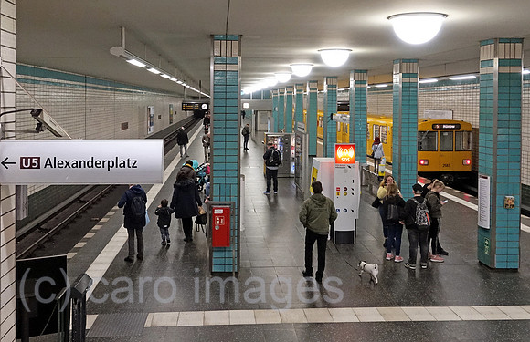00S190329D070CAROEX.JPG