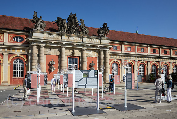 00R200922D005CAROEX.JPG