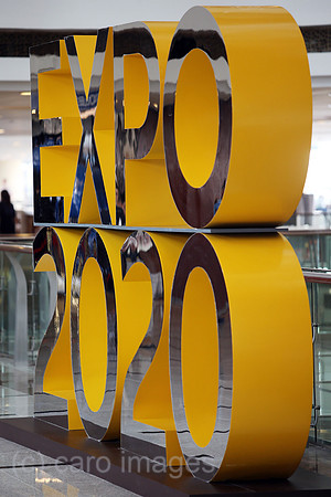 00S190330D647CAROEX.JPG