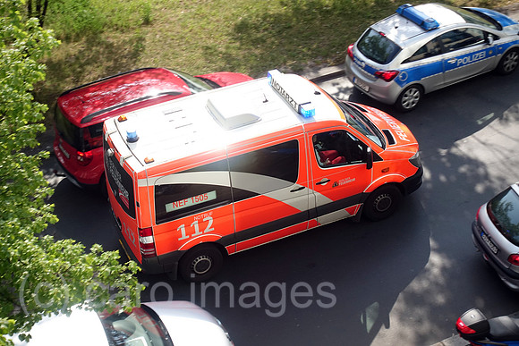 00S190508D306CAROEX.JPG