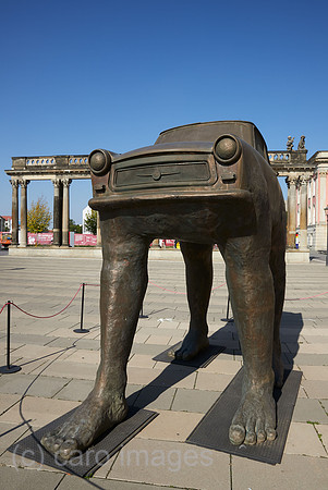 00R200922D070CAROEX.JPG
