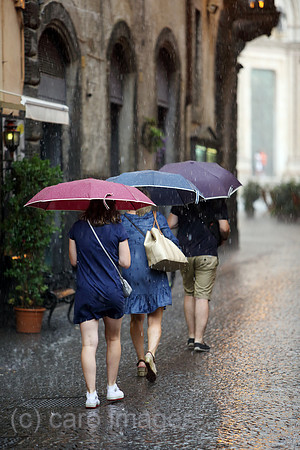 00S170725D073CAROEX.JPG