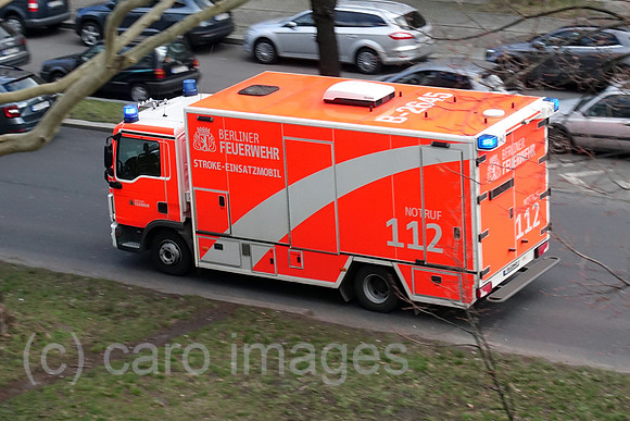 00S190319D122CAROEX.JPG