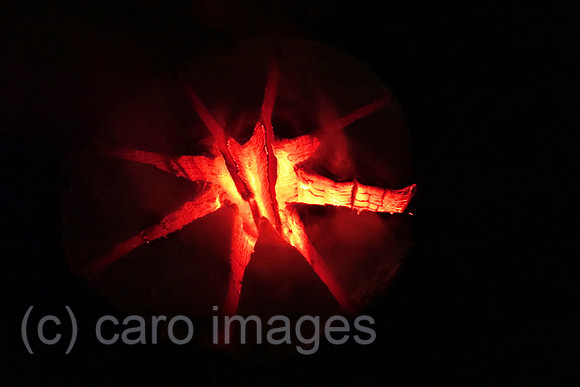 00S190420D035CAROEX.JPG