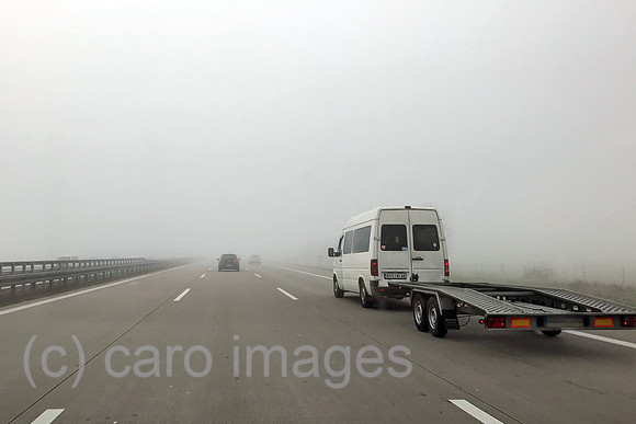 00S190406D257CAROEX.JPG