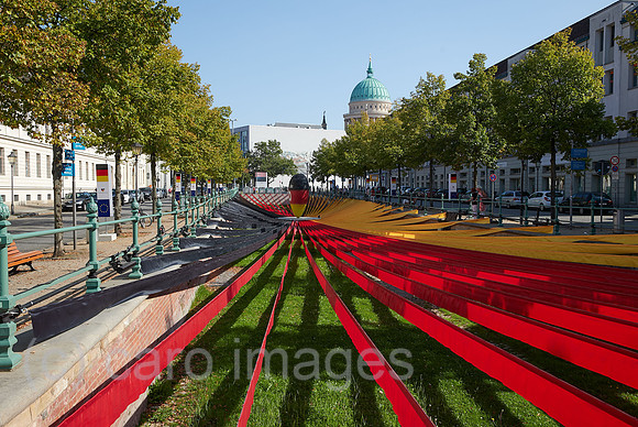 00R200922D035CAROEX.JPG