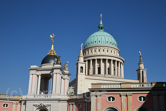 00R200922D019CAROEX.JPG