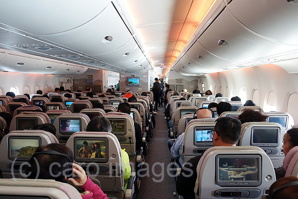 00S190321D133CAROEX.JPG