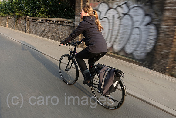 00S190405D249CAROEX.JPG