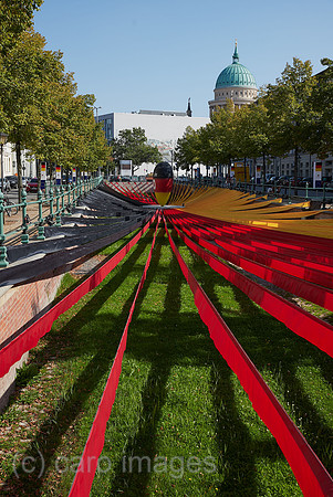 00R200922D037CAROEX.JPG