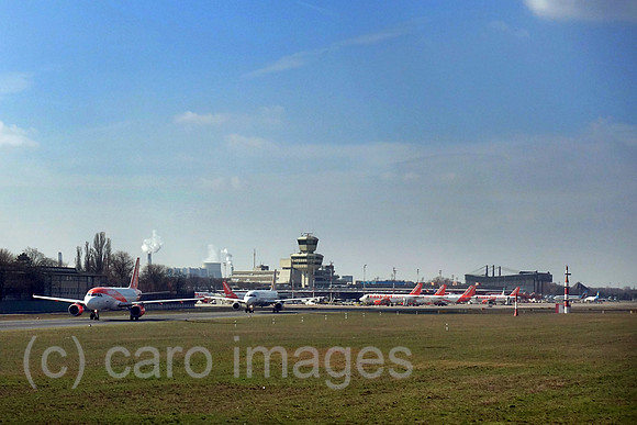 00S190320D131CAROEX.JPG