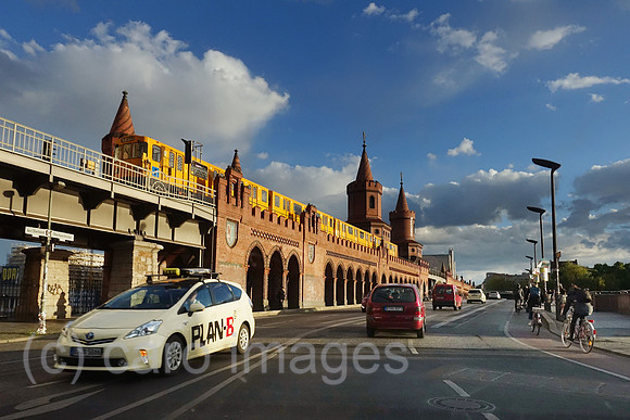 00S190513D325CAROEX.JPG