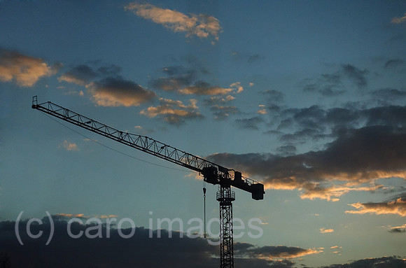 00S190319D124CAROEX.JPG