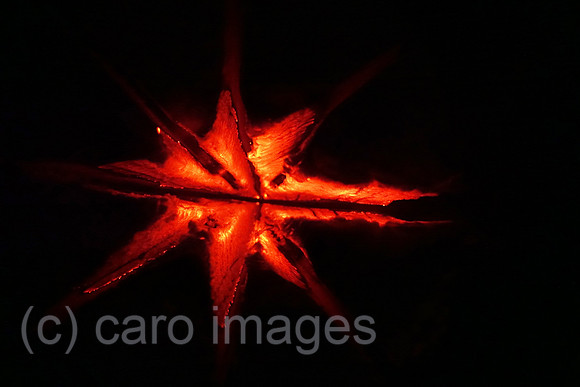 00S190420D036CAROEX.JPG