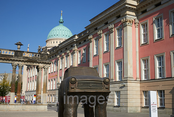 00R200922D065CAROEX.JPG
