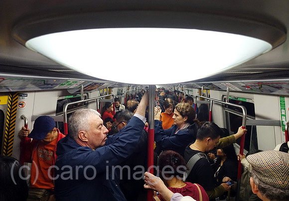00S190324D146CAROEX.JPG