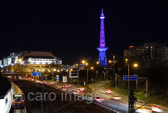 00S190401D120CAROEX.JPG