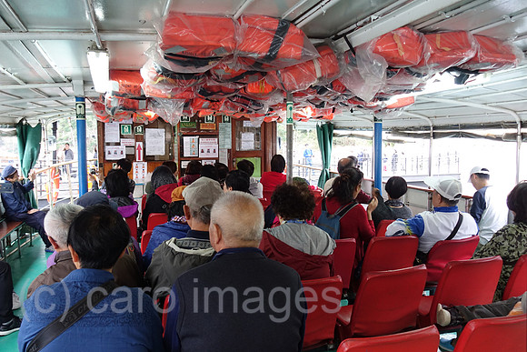 00S181208D095CAROEX.JPG