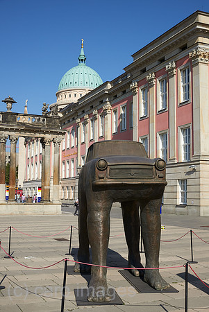 00R200922D068CAROEX.JPG