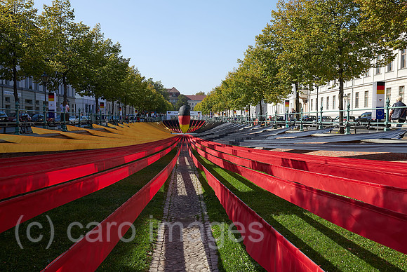 00R200922D059CAROEX.JPG