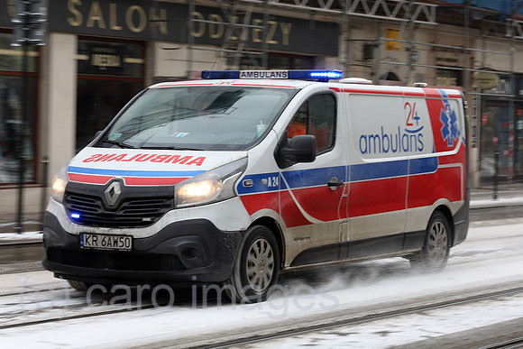 00S190125D089CAROEX.JPG