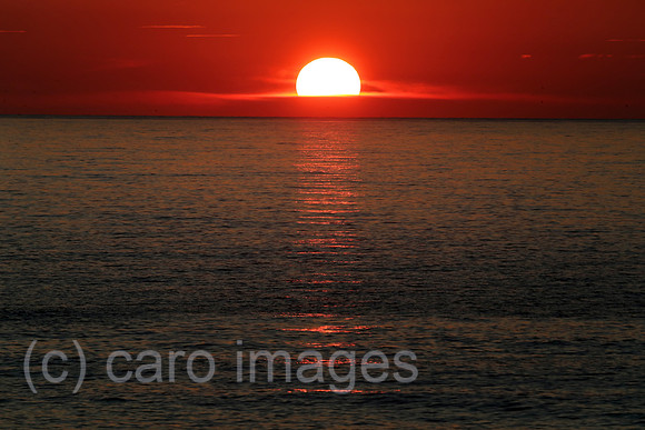00S180716D032CAROEX.JPG