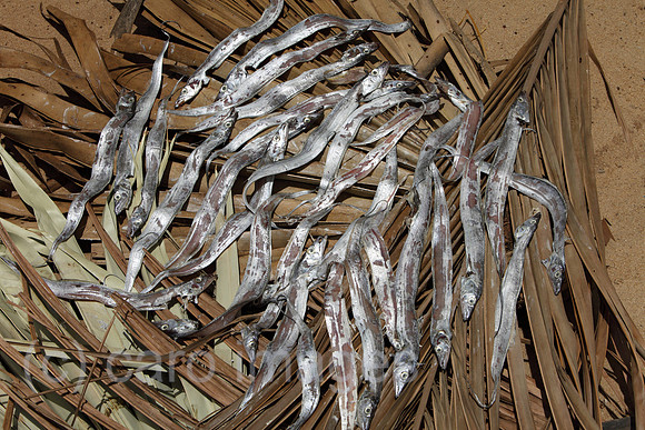 00U090629D015CAROE.JPG