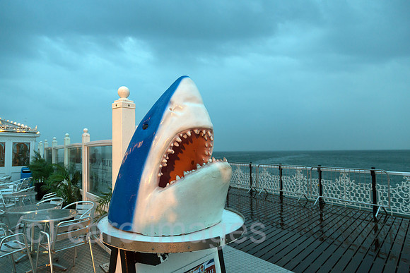 00A120602D354CARO.JPG
