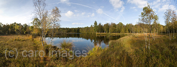 0PR131007D004CAROE.JPG