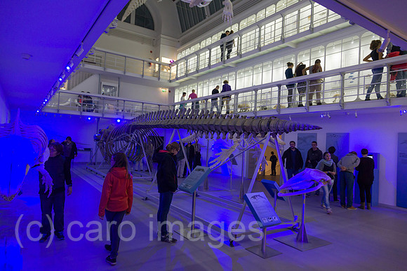 0PR140829D028CAROE.JPG