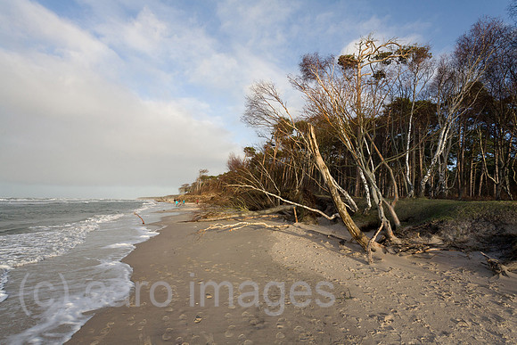 0PR150102D033CAROE.JPG