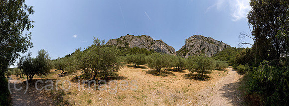0PR130708D047CAROE.JPG