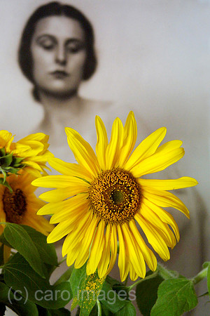 0SB020811D001CAROEP.JPG