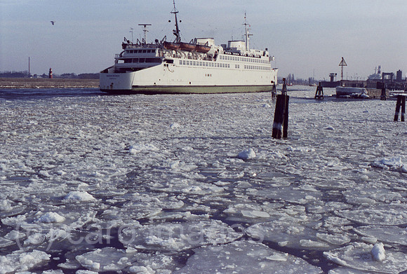 00S870303A106CAROE.JPG