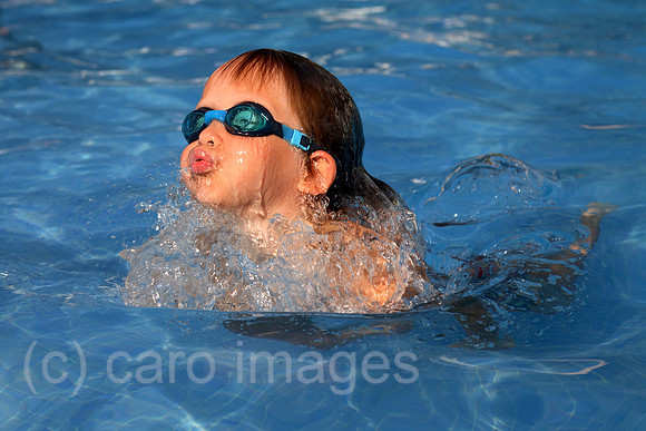 00S060812D004CARO.JPG