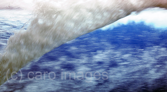 00S060811D006CARO.JPG