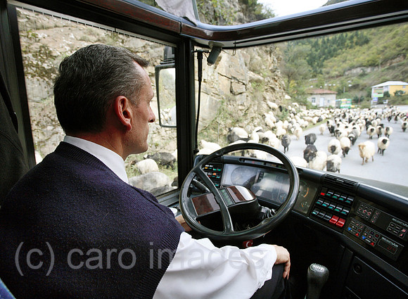 00S061107D057CARO.JPG