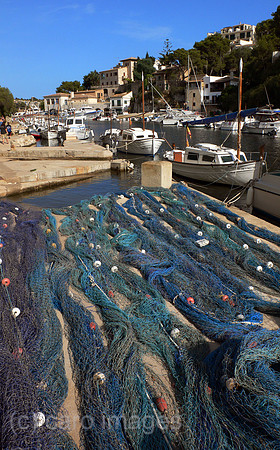 00S060804D007CARO.JPG