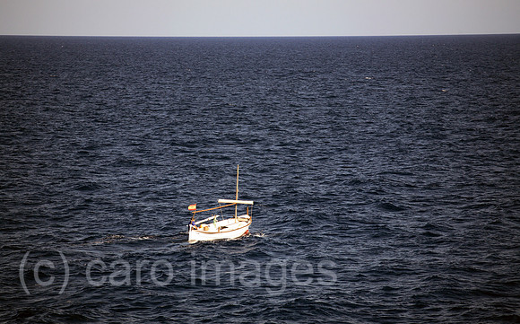 00S060810D036CARO.JPG