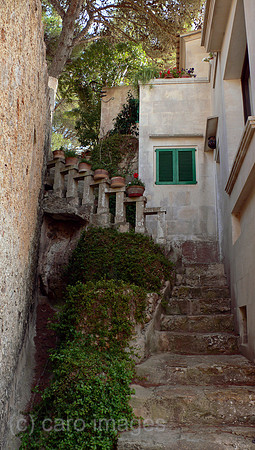 00S060804D008CARO.JPG