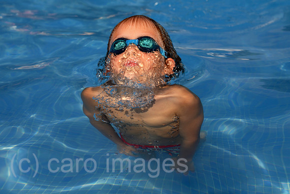 00S060812D003CARO.JPG