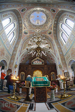 00S061109D077CARO.JPG