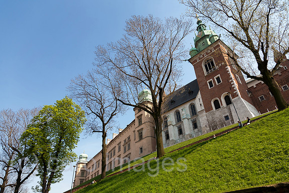 00A080425D375CAROE.JPG