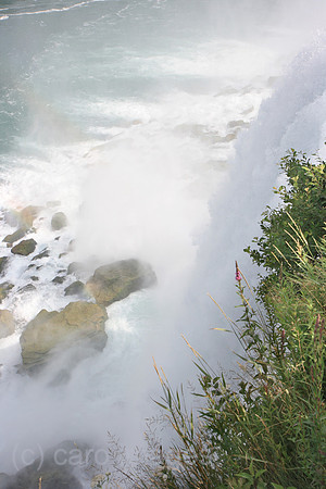 00P070723D414CARO.JPG