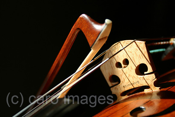 0BS040228D001CARO.JPG