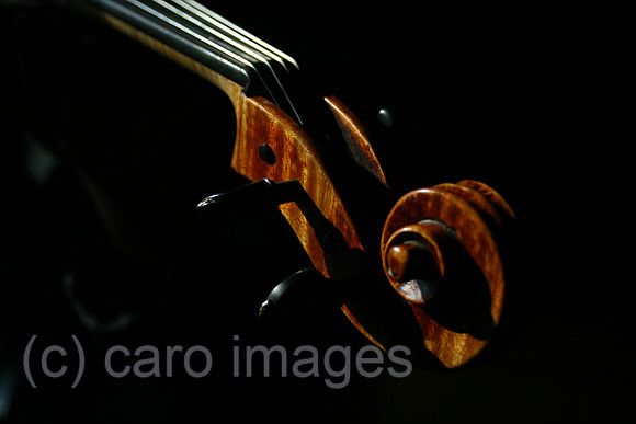 0BS040228D007CARO.JPG