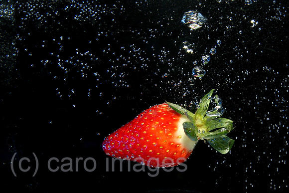 0BS050203D003CARO.JPG