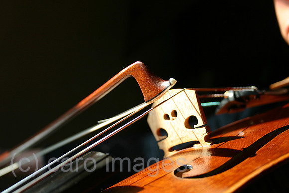 0BS040228D004CARO.JPG