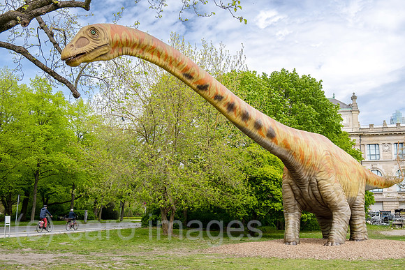 Deutschland, Hannover - Modell eines Dinosauriers (Seismosaurus) des Landesmuseum Hannover