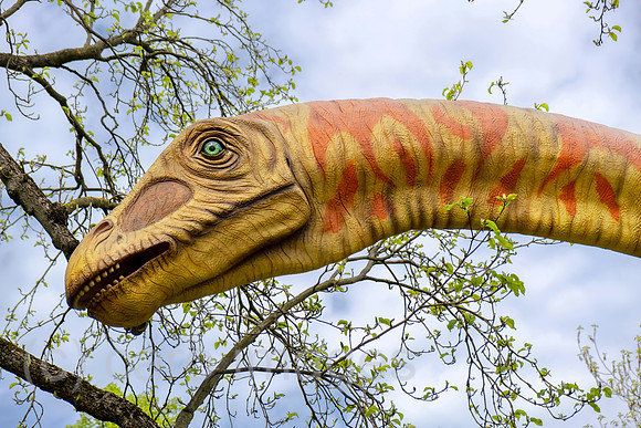 Deutschland, Hannover - Modell eines Dinosauriers (Seismosaurus) des Landesmuseum Hannover